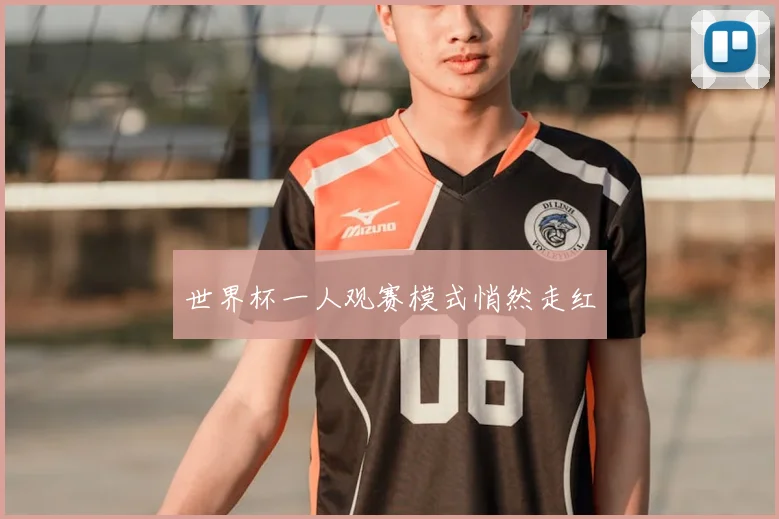 世界杯一人观赛模式悄然走红