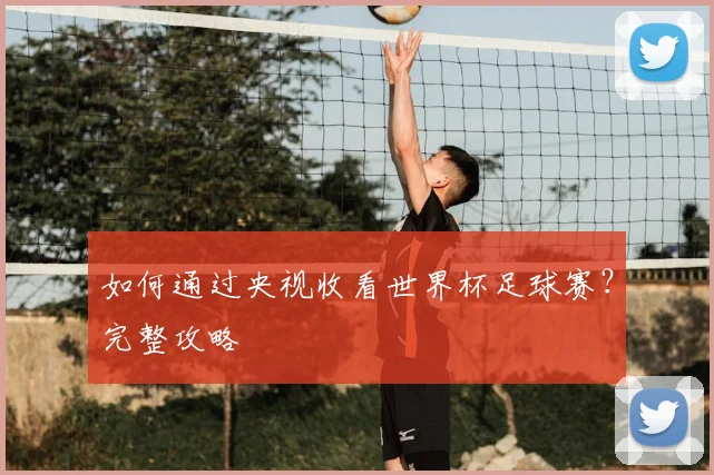 如何通过央视收看世界杯足球赛?完整攻略